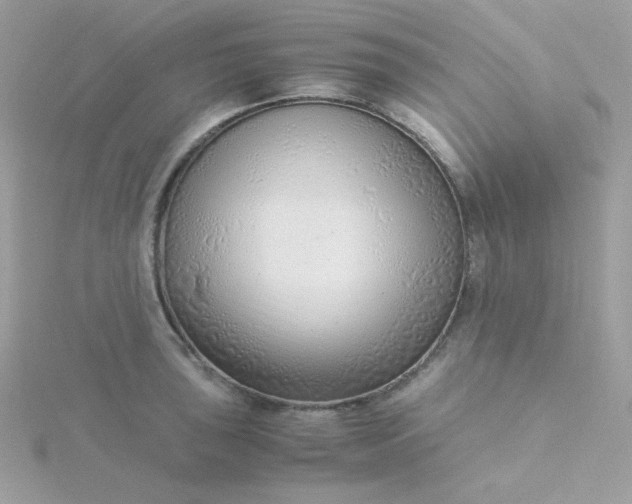 X0000115821043200911271133