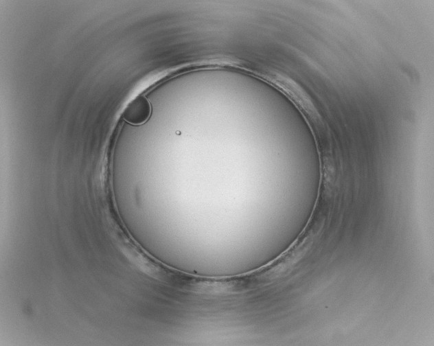 X0000115821044200911271133