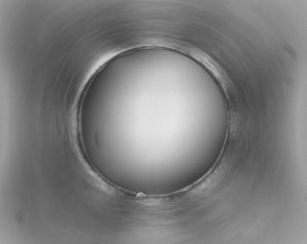 X0000115821048200911271133