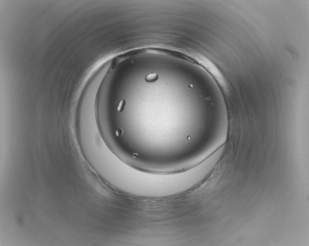 X0000115821051200911271133