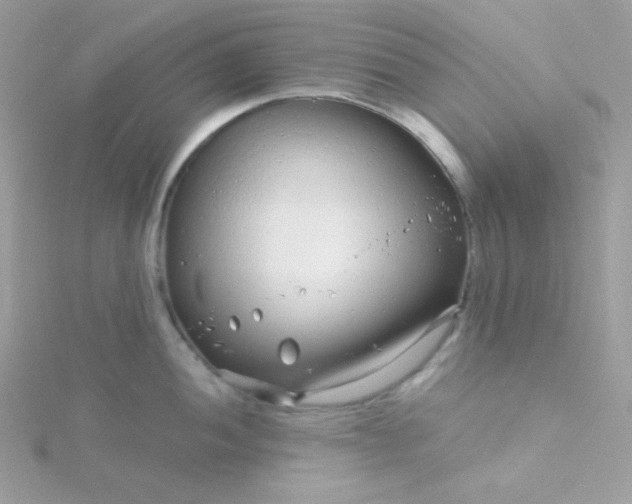 X0000115821052200911271133