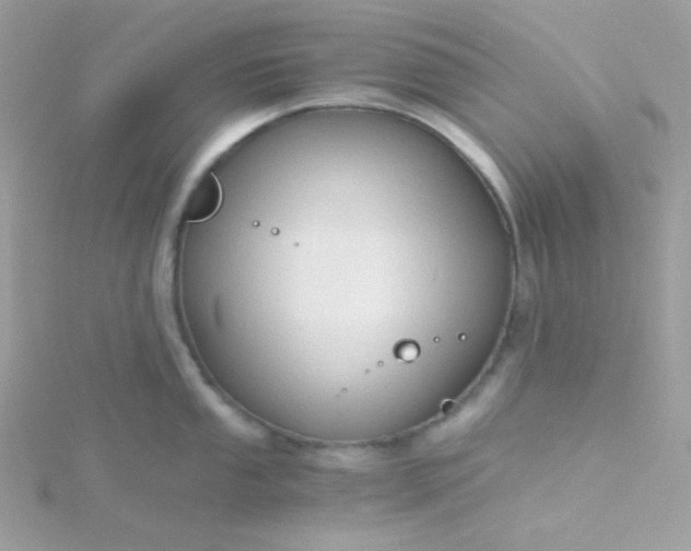 X0000115821053200911271133