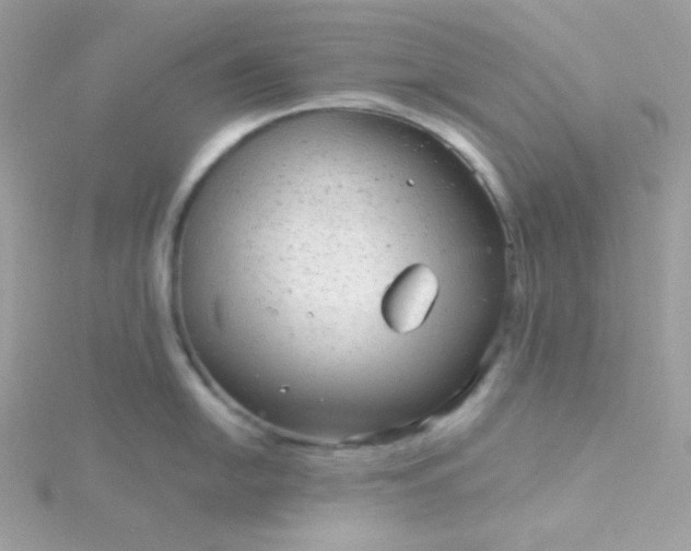 X0000115821054200911271133