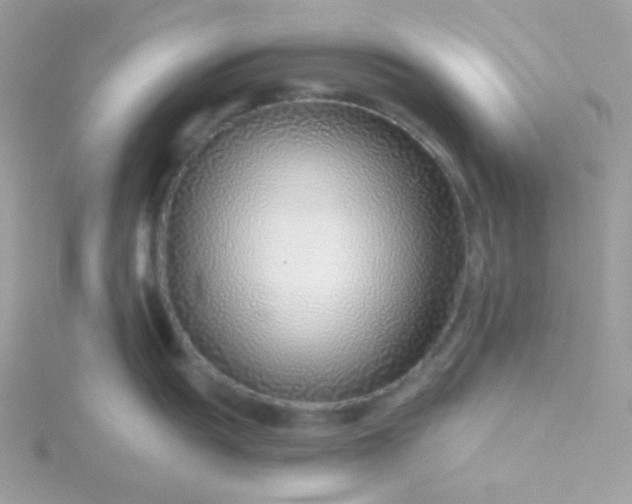 X0000115821055200911271133