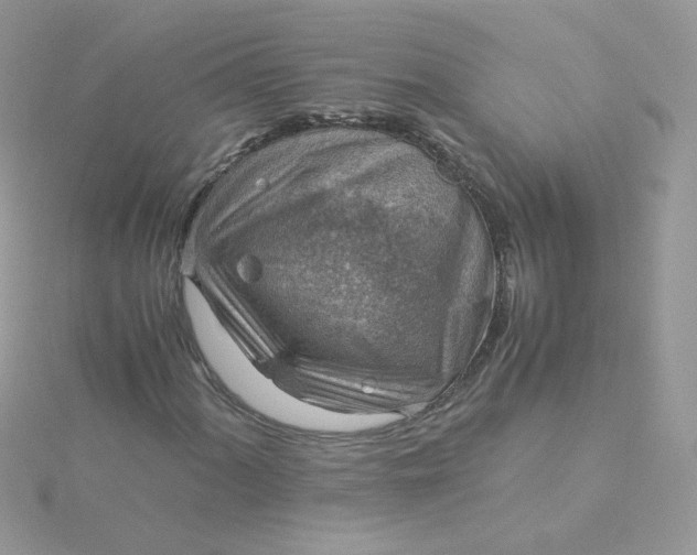 X0000115821060200911271133