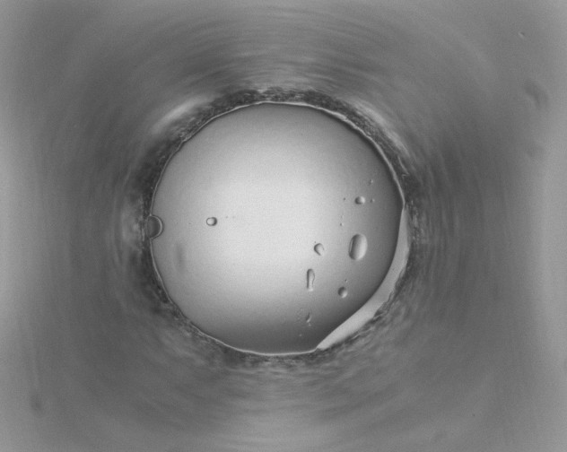 X0000115821063200911271133