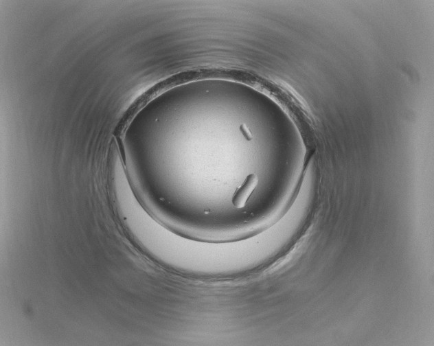 X0000115821065200911271132