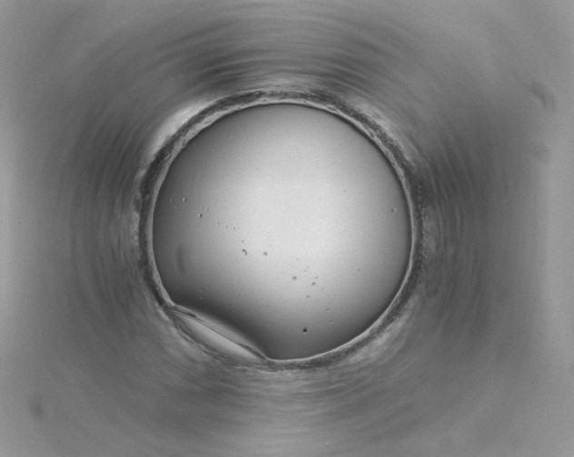 X0000115821066200911271132