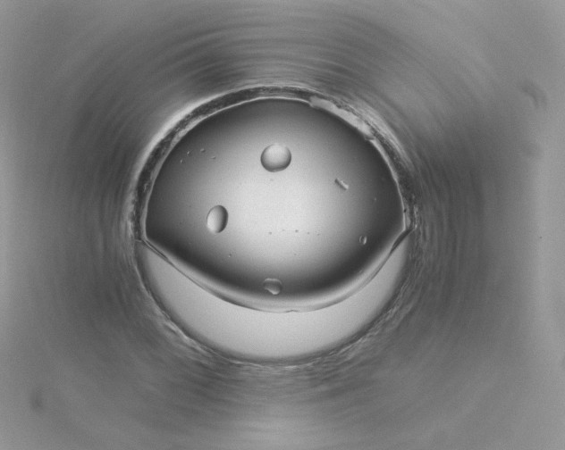 X0000115821068200911271132