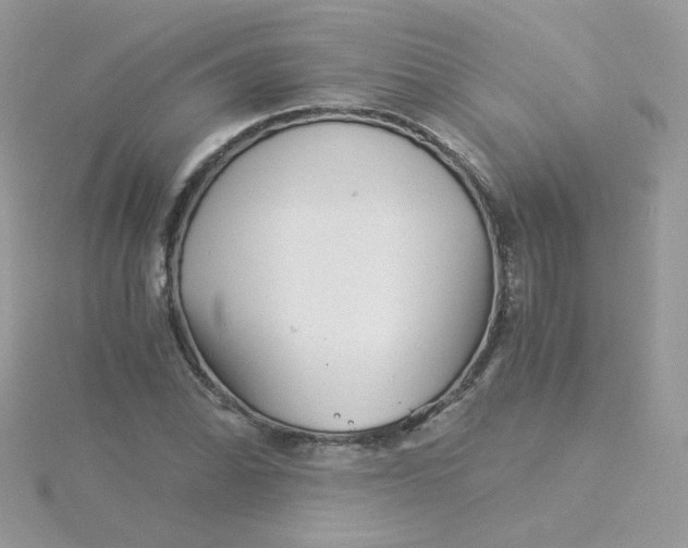 X0000115821070200911271132