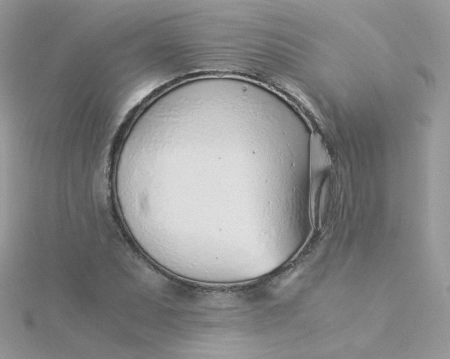 X0000115821071200911271132