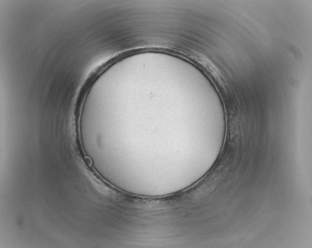 X0000115821072200911271132