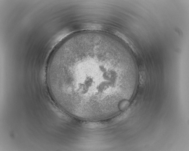 X0000115821074200911271132