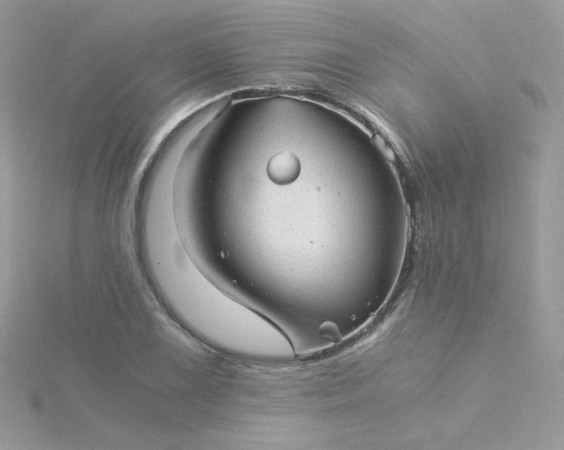 X0000115821075200911271132