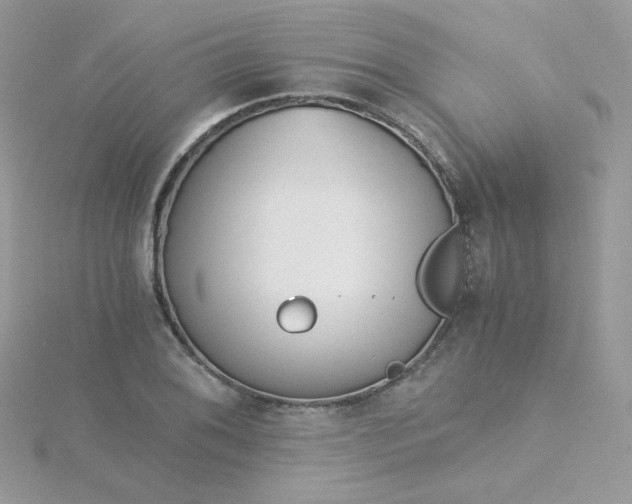 X0000115821076200911271132