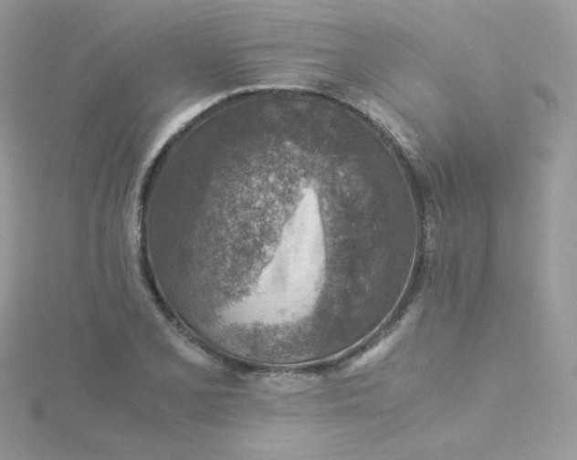 X0000115821077200911271132