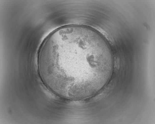 X0000115821078200911271132