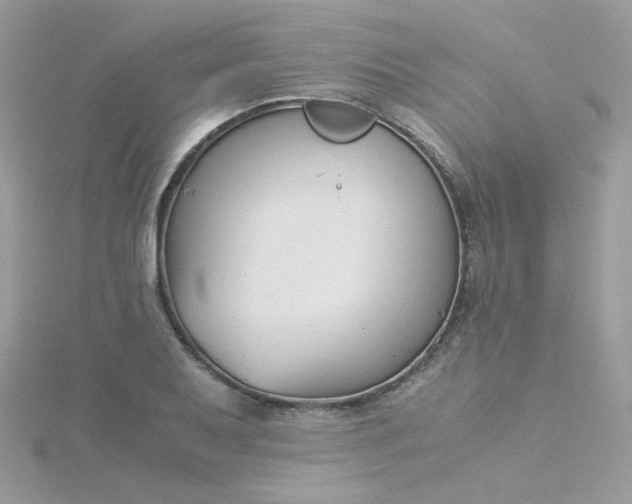 X0000115821079200911271132