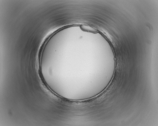 X0000115821080200911271132