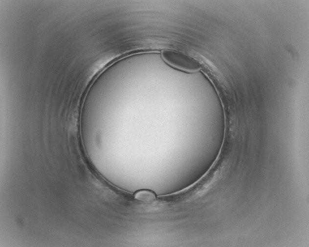 X0000115821081200911271132