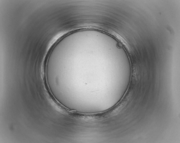 X0000115821082200911271132