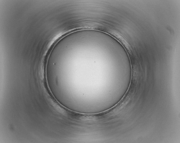 X0000115821083200911271132