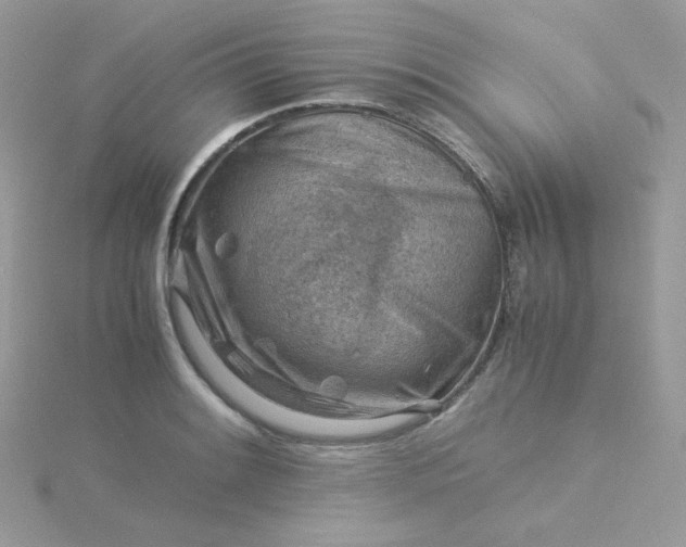 X0000115821084200911271132