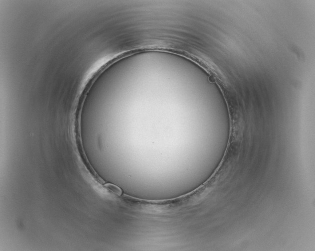 X0000115821086200911271132