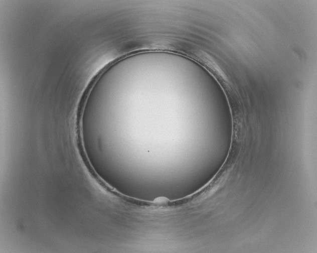 X0000115821087200911271132