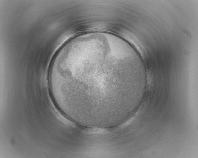 X0000115821090200911271132