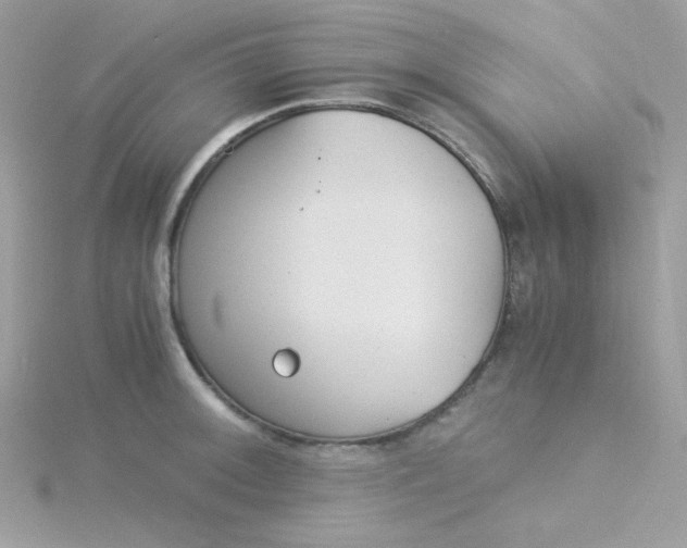 X0000115821092200911271132