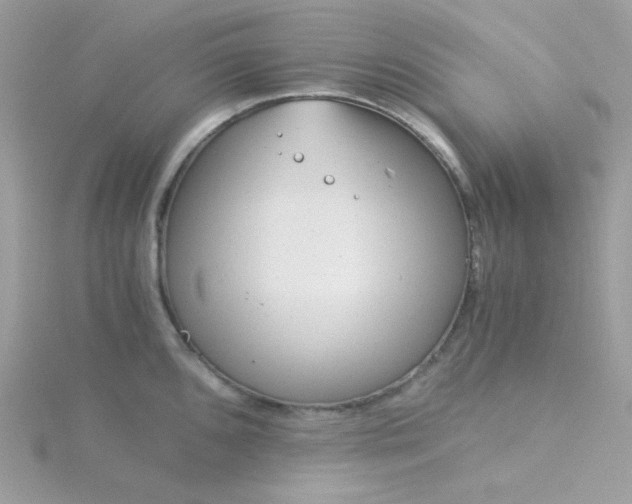 X0000115821096200911271132