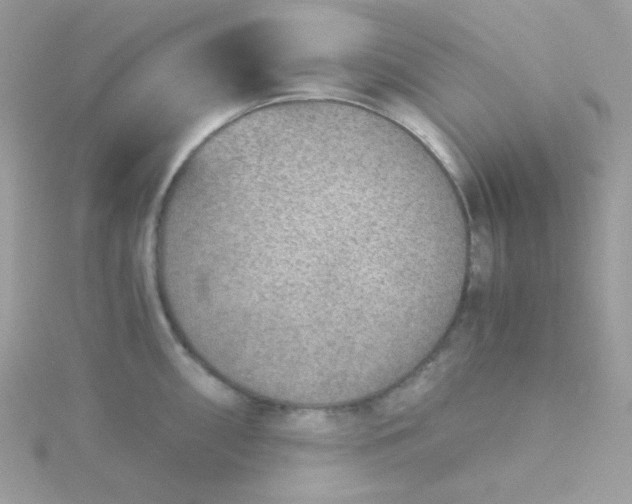 X0000115821098200911271132