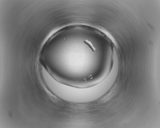 X0000115821101200911271132