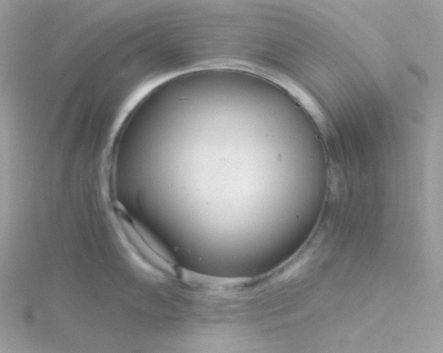 X0000115821102200911271132