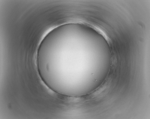 X0000115821103200911271132