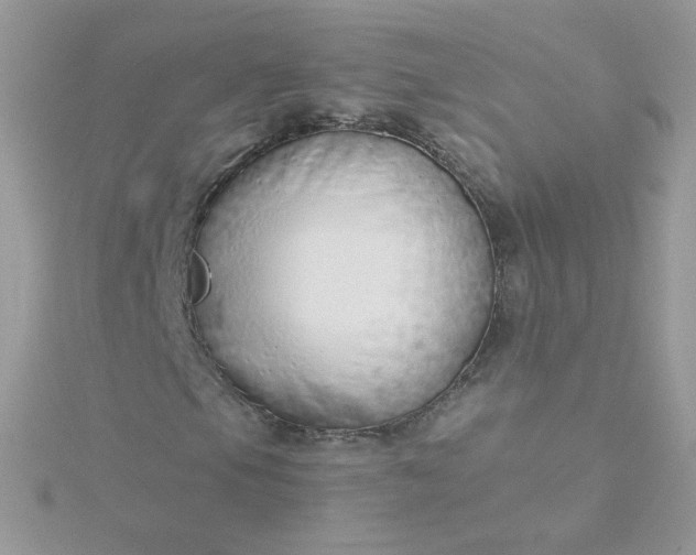 X0000115821105200911271131