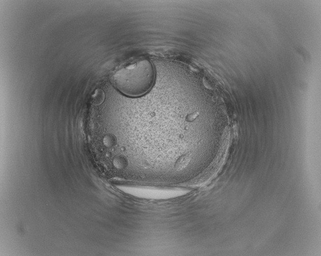 X0000115821106200911271131