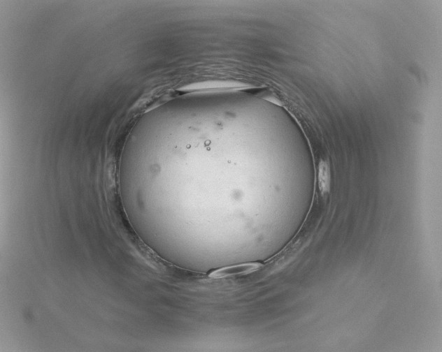 X0000115821107200911271131