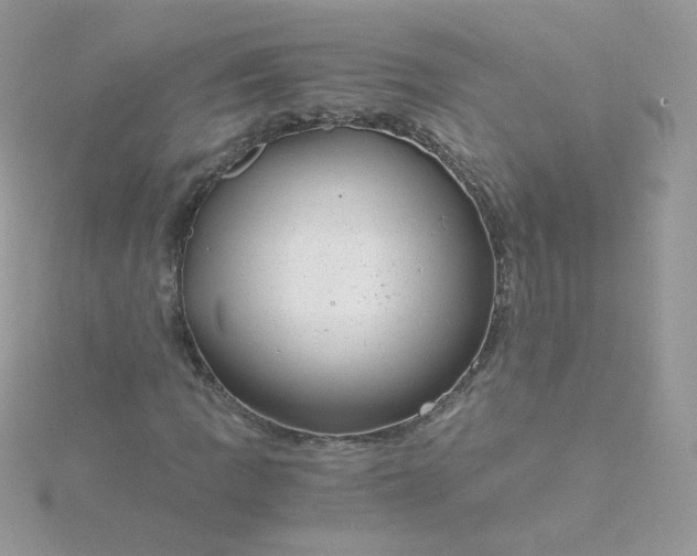 X0000115821109200911271131