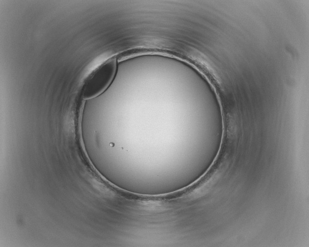 X0000115821114200911271131