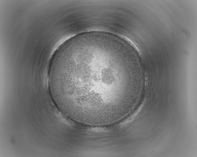 X0000115821117200911271132