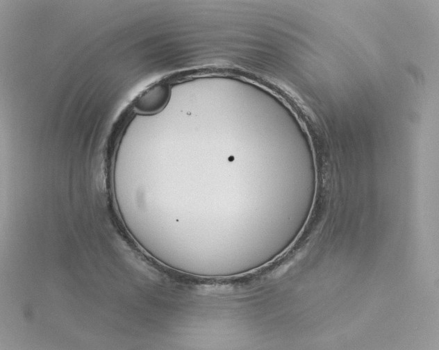 X0000115821118200911271132