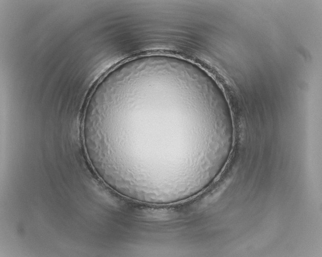 X0000115821121200911271132