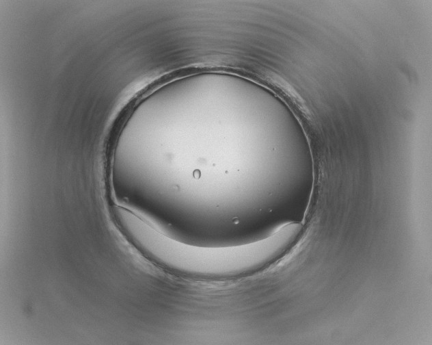 X0000115821122200911271132