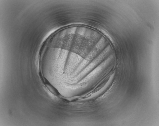 X0000115821127200911271132