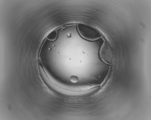 X0000115821129200911271132