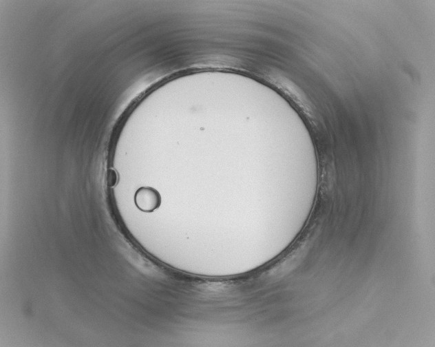 X0000115821130200911271132