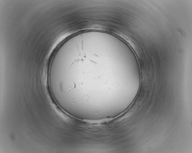 X0000115821131200911271132