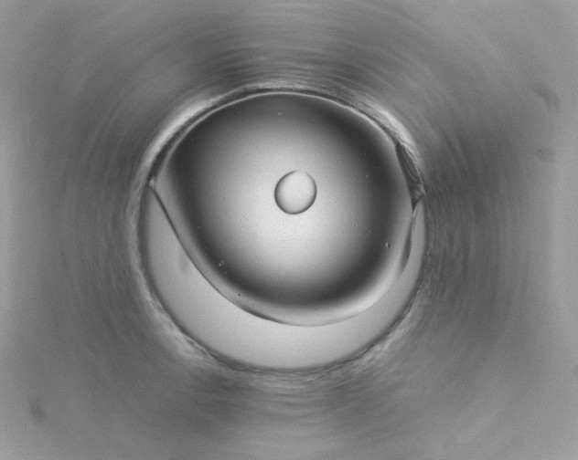 X0000115821138200911271132